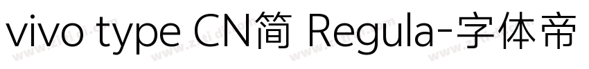 vivo type CN简 Regula字体转换